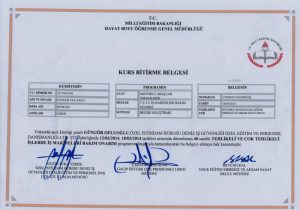 Forklift Arıza &Ccedil;&ouml;z&uuml;mleri